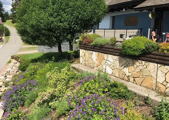 Hajenka - Маков